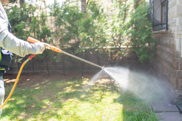 Best Residential Pest Control  in St Johns, MI